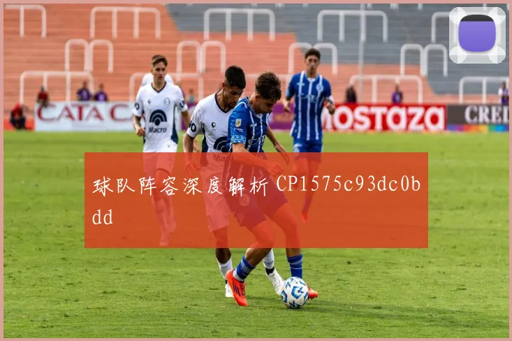 球队阵容深度解析 CP1575c93dc0bdd